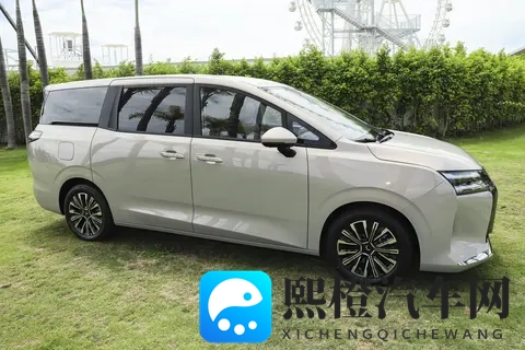 五菱星光730 PHEV：7座大空间，电动侧滑门，家用好帮手-3