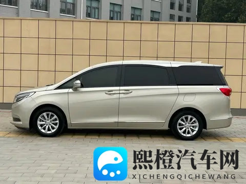 宜商宜家好选择,二手别克GL8尊享型,13万多拿下!-1