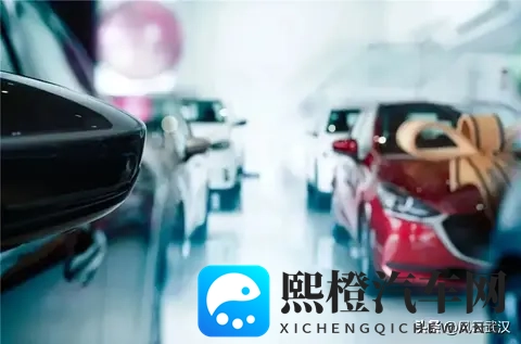 河南亲戚紧急来武汉,贡献了20万GDP!-2