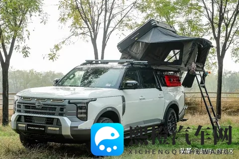 全动力、多版本可选，郑州日产锋坦Frontier Pro预售-3