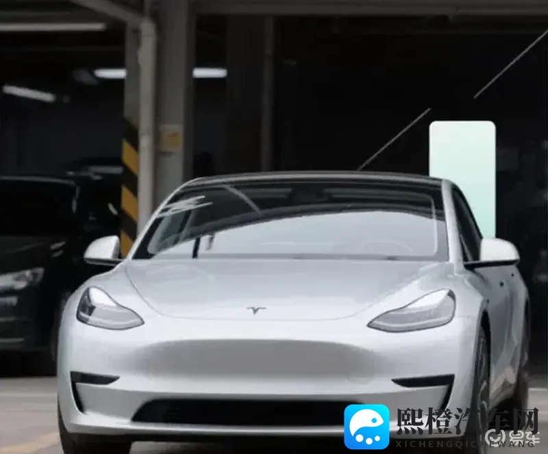 特斯拉Model3 vs 极氪001：二手车市场对比显著差异-1