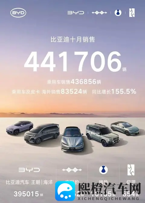 秦宋开道,比亚迪布局2026车市-2