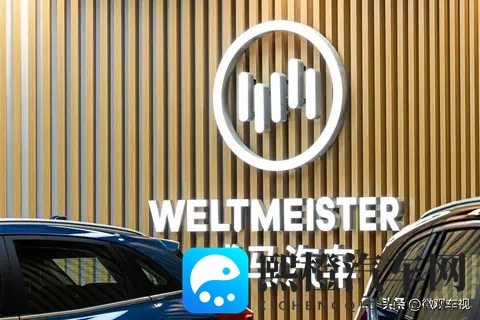 威马汽车“念念不忘，必有回响”，破产重整后谋划全面复活-3