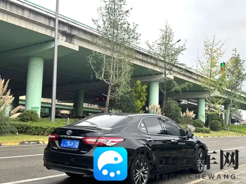 天天舔天天日天天操：颠覆驾驶乐趣，全新概念车型来袭-3