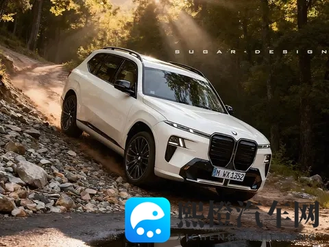 全新宝马X7要来了！外形换装“墨镜脸”，能比现款更好卖？-3