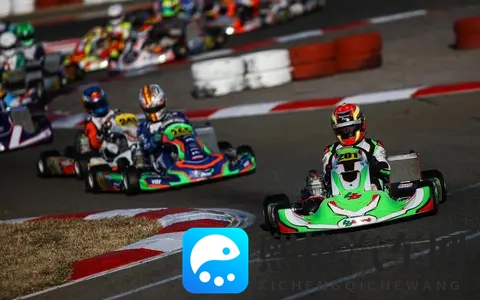 IAME 看不懂规则？其实你只要掌握“分类+重量+轮胎”这三件事-2