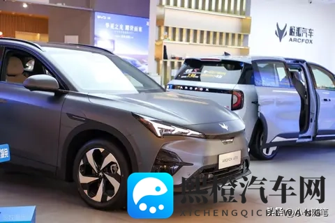 10月新能源车销量榜:零跑B10登顶,新势力改写行业秩序-2