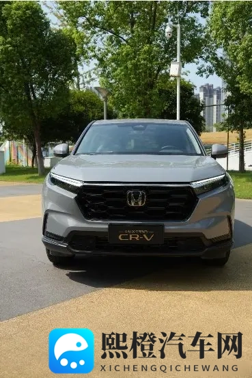 XXXXXL196：探寻XXXXXL196背后的传奇故事-2