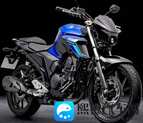 雅马哈飞致250复出 拼的不是马力 是省油能走天下的底气-1