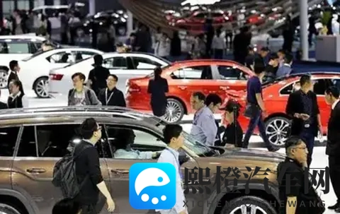 媒体称汽车刷3万订单需要300万元，汽车博主孙少军转发并详解方法-3