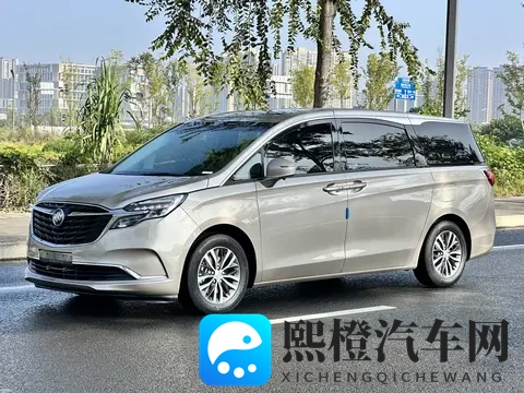 22款别克GL8陆尊:宜商宜家,20多万享受舒适出行-2