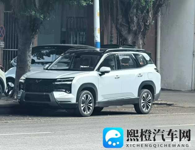 男生女生一起差差：男女生携手共进步，共同追求卓越之路-1