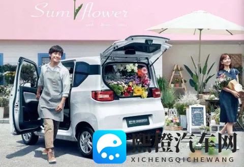 180万销量背后故事，始终与用户同频，宏光MINIEV引领代步车潮流-1