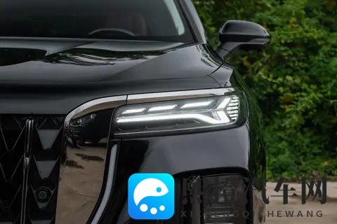 选国产 C + 级豪华轿车？红旗 H9 这 7 款车，先看你是家用还是商务-2