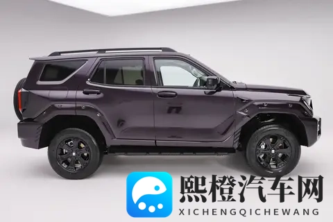 黑料社区XGUA.TV：新能源汽车崛起，智能驾驶技术引领未来-2