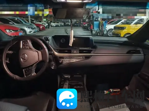 1698万,入手银灰色雷克萨斯ES,宜商宜家之选-3