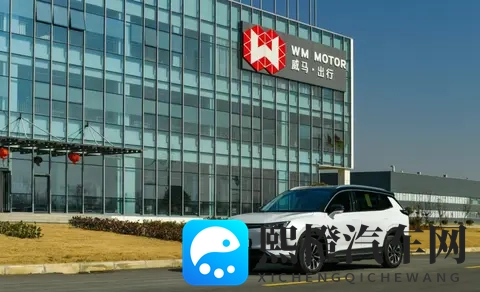 好事将近！威马汽车发布最新预告图，网友：打赢复活赛了？-1