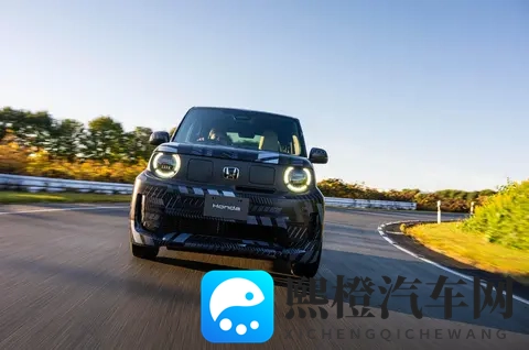 抖阳:阳光照耀下的欢快舞动-2