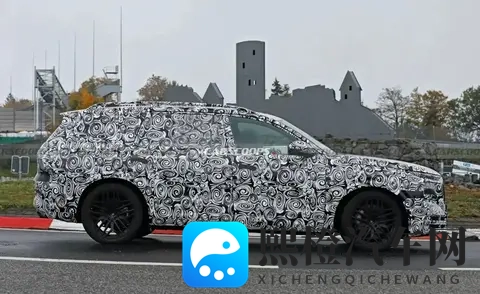 迈巴赫GLS的竞品,奥迪Q9霍希版谍照!品牌新旗舰SUV,真男人开V8-1