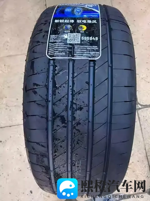 ModelY换胎如赋能?固特异e锐乘让我玩明白了性能平衡!-1