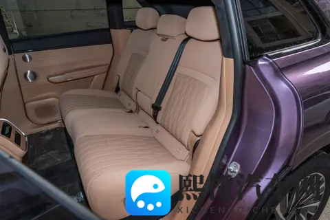 2025款星纪元ET：豪华与安全兼备，移动的家就是这么舒适-3