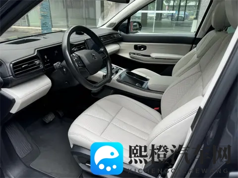 Nappa真皮普及背后:车企宣传的“文字游戏”该停了-1