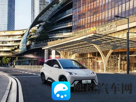 10万预算买纯电车,这五款“销量王”值得一看!-2