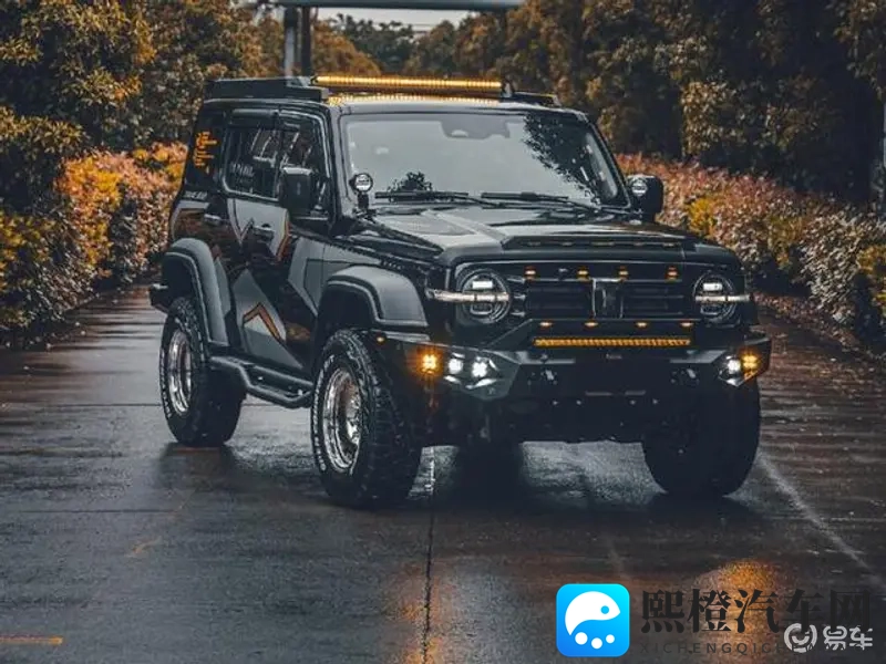 黄色软件视频网站：智能驾驶，重塑未来出行格局-1