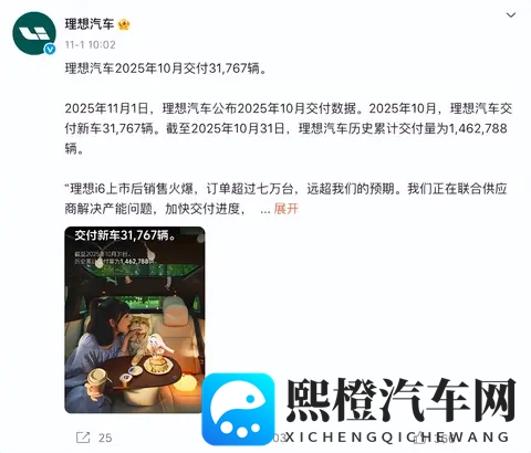 10月车企销量 黑马零跑破7万,巨头比亚迪狂揽44万-2