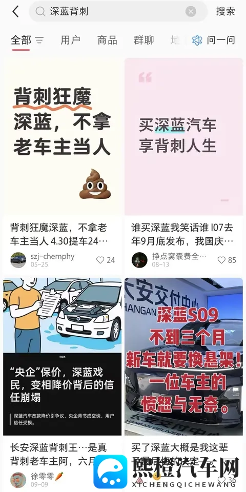 深蓝卖力赚吆喝,销售却一问三不知,L06如何撼动海豹与MONA M03?-3