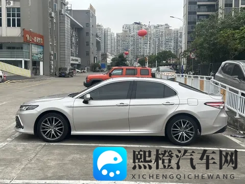 浓毛熟女ass撒尿PIGS:风情熟妇私密生活片段曝光-3