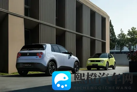 李斌称萤火虫以后会有大电池包：容量预计提升至少50%-1