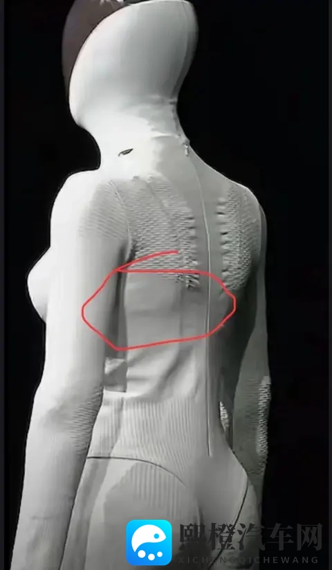 《麦乐迪 女超人》:《麦乐迪:传奇女英雄风采》-2