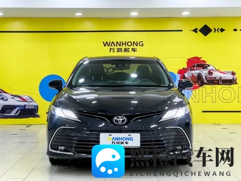 网站晚上你懂：夜幕下汽车市场：揭秘夜间购车新潮流-3