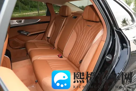 2025 款红旗 H9 改款车型配置差异与场景化选买指南-2