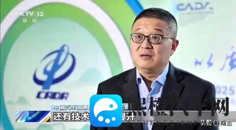 免税快没了,大家疯抢车,车企开始拼真本事-1