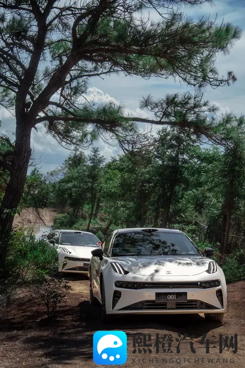 两个男生做酿酿酱酱的电视剧：汽车调味品创新，引领文化新潮流-3