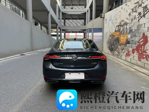 2019年最好的中文：电动汽车崛起，汽车市场新格局！-2