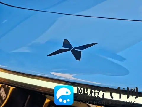 油箱和“铁蛋”,要打爆小鹏空头-2