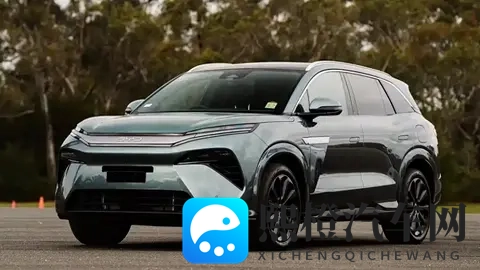 订单破千!比亚迪海狮8澳洲将上市,大尺寸插混剑指年销8400台-3