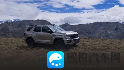 全新坦克400上市,4种动力挑花眼,具体应该怎么选?-2