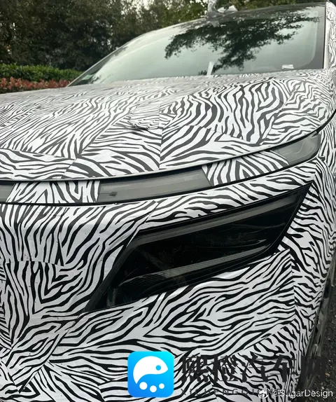 日产全新纯电 SUV 车型 N8 谍照曝光，爆料称“性价比超高”-2