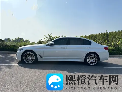 16万多拿下二手宝马5系,圆你蓝天白云梦!-3