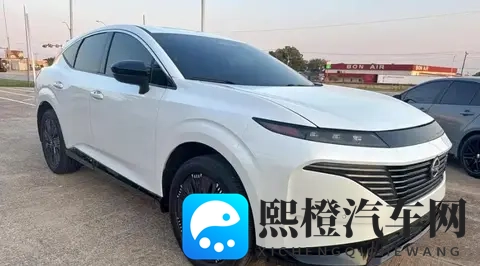 全新日产Murano，造型大气时尚，搭载20T+9AT，运动感十足！-1