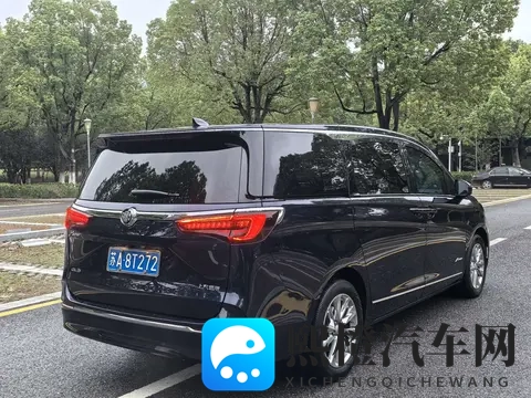 24万拿下二手别克GL8Avenir,豪华MPV商务家用皆宜-1