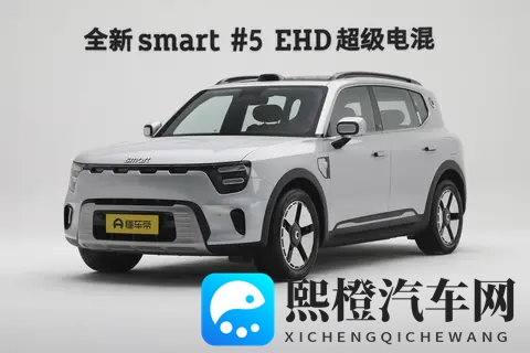 惠后售价1499万元起，续航超1600公里，全新smart精灵#5EHD上市-3