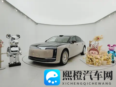 厦门尊享会:尊界s800护底板升级-2