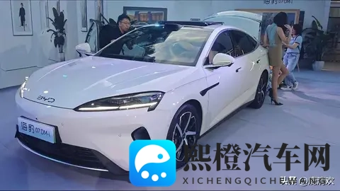 中国少妇xxx：新能源汽车魅力无限，少妇品牌引领潮流-1