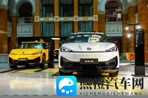 原极氪、岚图高管刘展术出任大众安徽COO，“金标大众”最后一搏-2