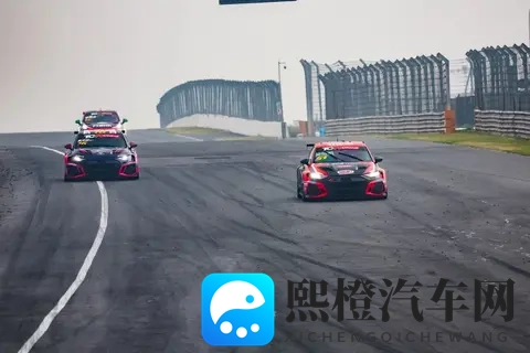 男人和女人对肌:性别差异下的肌肉理解与比较-2